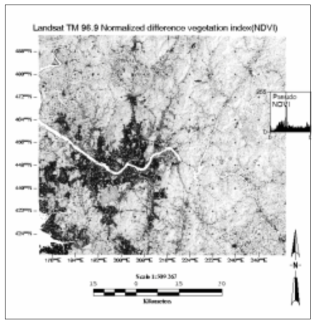 Landsat TM 96년 9월 NDVI