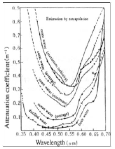 물 특성에 의한 분광 감소