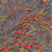 자동적으로 추출한 선구조도 (붉은색)와 지질전문가가 추출한 선구조(노랑색과 오랜지색)
