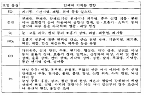 대기오염물질이 인체에 미치는 영향