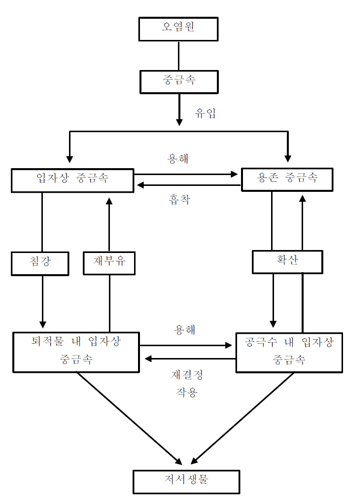 중금속의 수계 내 퇴적물, 공극수, 저서생물간 거동 모식도