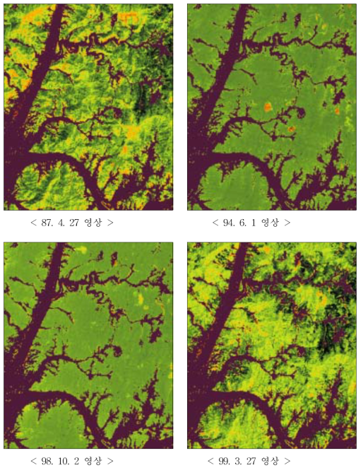 Landsat TM 영상의 정규식생지수(NDVI)