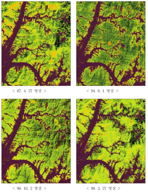 Landsat TM 영상의 수정 식생지수(MODVI)