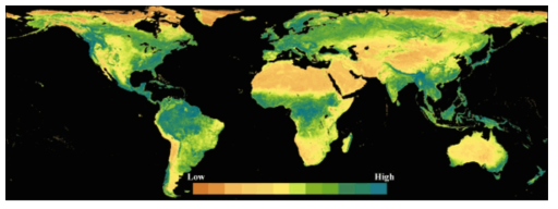 SeaWiFS위성 NDVI자료에 의한 세계 식생도 주 : SeaWiFS Level-3 Standard Mapped Images(1999.8월) 자료 : http://seawifs.gsfc.nasa.gov/cgibrs/level3.pl