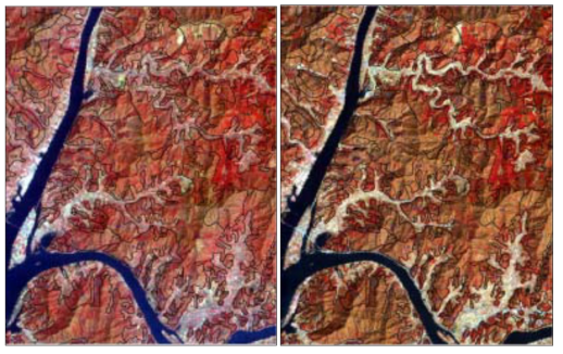 현존식생도와 인공위성영상자료간의 일치성 주 : 좌(1987년 4월 27일) 우(1999년 3월 27일)