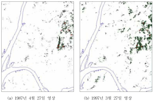 Landsat TM 영상을 이용한 계절별 잣나무군락의 분류결과