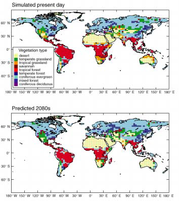 생태계 모형으로 예측한 현재와 2080년의 지구식생분포도 자료 : Harasawa, H.(2000) Recent development of Impacts Study in Japan and IPCC, 기후 변화와 생태계보전 심포지움 발표 OHP