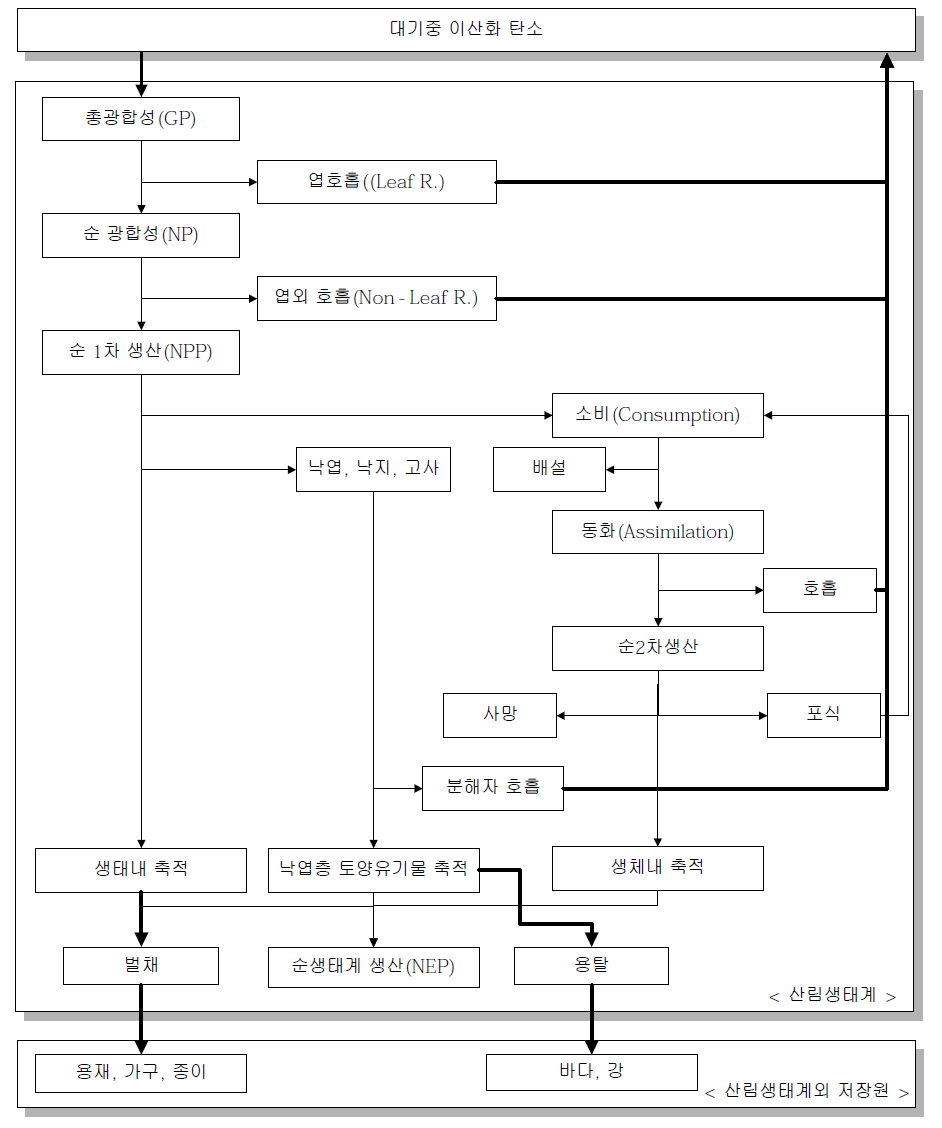 산림생태계에서의 탄소순환모형 자료 : 김태훈(1995), 기후변화가 산림생태계에 미치는 영향 및 대응방안, 기후변화가 한반도에 미치는 영향에 관한 심포지움, 한국과학기술원, p.37