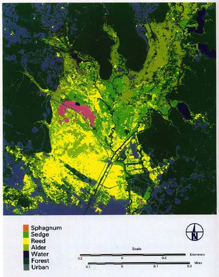 Landsat TM 자료를 이용하여 완성된 식생분류도 자료 : http://info.nies.go.jp:8091/wetland/kushiro/Classify_TM/index-e.html