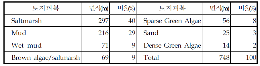 Deben 하구지역의 토지피복분류결과