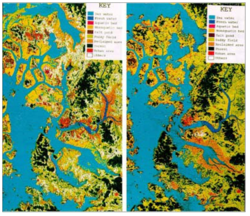 습지분포도(왼쪽 1984년, 오른쪽 1992년)