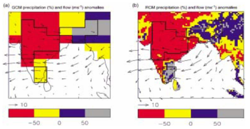 GCM과 RCM을 이용한 인도몬순지역의 상대적인 강우차이(%)