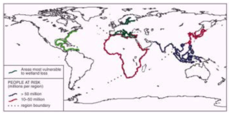 해수면 상승에 취약한 지역 자료: Nicholls, 1997