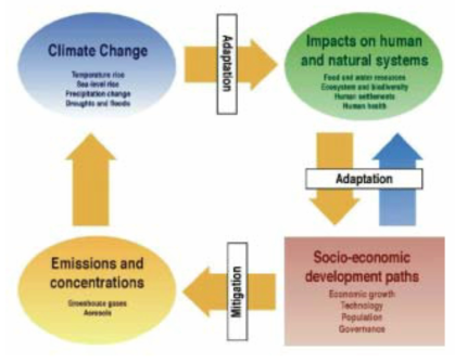 기후변화에 대한 노력: 온실가스 감축 및 적응의 조화 자료: IPCC, 2001