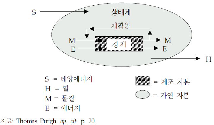 지구생태계의 개방체제로서의 경제