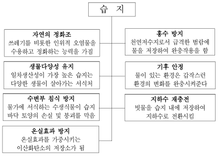 습지 생태계 자료: 국립환경연구원, 2001. 「습지의 이해」