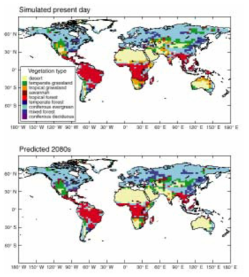 생태계 모형으로 예측한 현재와 2080년의 지구삼림분포도 자료 : Harasawa, H.(2000) “Recent development of Impacts Study in Japan and IPCC”. 「기후변화와 생태계보전 심포지엄」. 한국환경정책․평가연구원