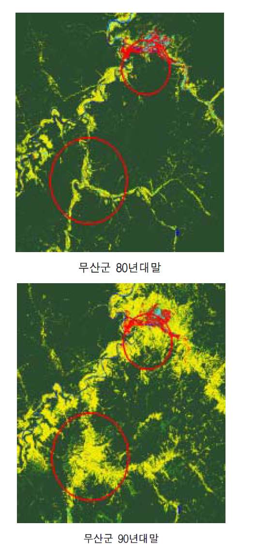 북한 무산군의 산림지역 변화