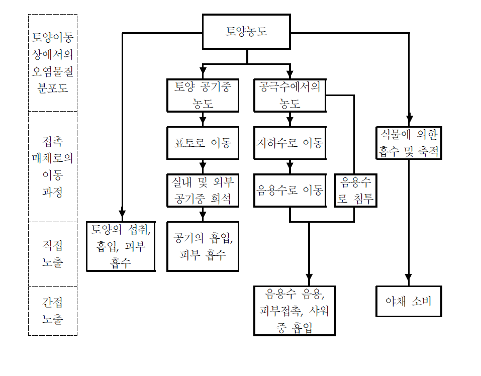 C-soil 모델 도표