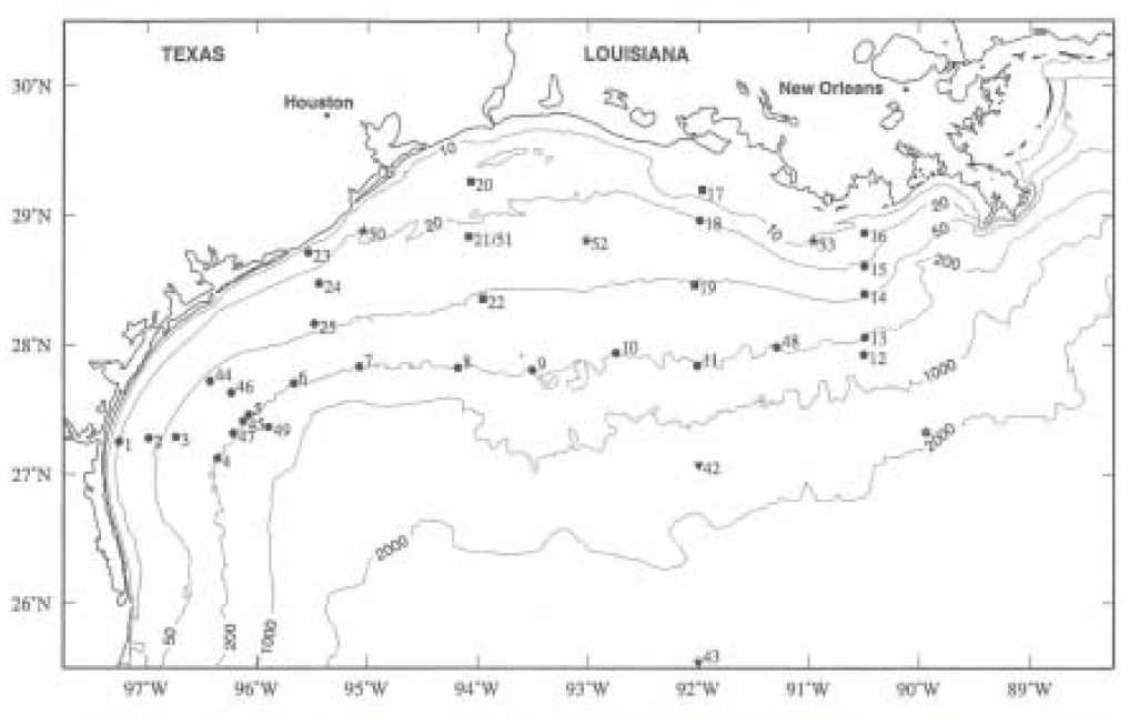 텍사스-루이지애나 대륙붕의 수심(LATEX 해류계 및 기상부이 관측정점)