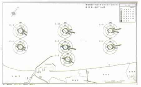유향․유속 출현빈도 분포도(동계: 수심 10m층)