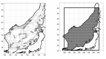 동해전역의 해수순환 모델링의 해저지형도, 격자구성도