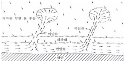 연안류와 이안류 (양재삼, 1992)