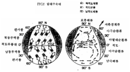 대기와 표층해류와의 관계 (池田, 1998)