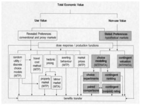 환경재의 가치추정방법(Economic Valuation Techniques) 자료: 신영철, 2004.5.7, ‘황사의 사회경제적영향 및 피해비용 연구의 방향’, KEI내부 세미나에서 재인용