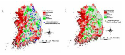 Evaluation of habitat suitability map for Eurasian otter, which is developed at the watershed perspective against actual observation location from the second National Survey of Natural Environments and field survey results from Dr. Han (1997) in Korea