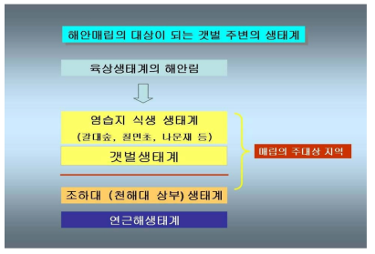 해양매립의 대상이 되는 갯벌주변의 생태계