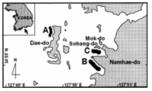 광양만 해역의 잘피 분포 지역 자료: 정승진(2005)