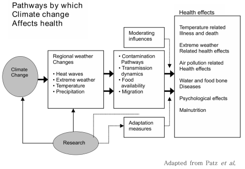 Pathways by which Climate change affects health