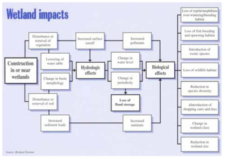 건설행위가 습지에 미치는 영향 및 결과