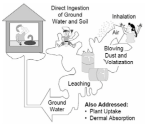 Exposure pathways addressed by SSLs