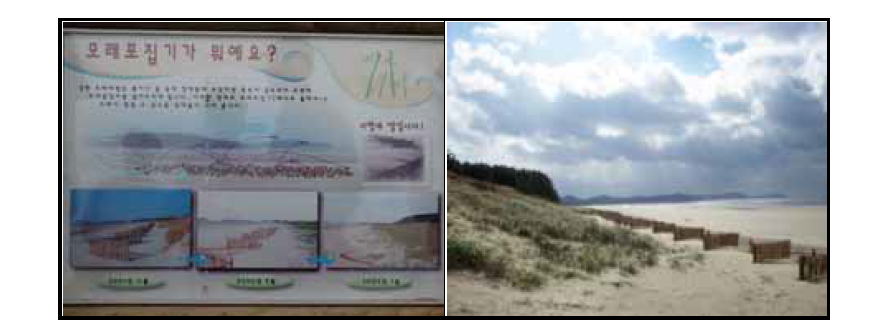서해안 태안 해수욕장(기지포, 삼봉)의 모래포집기 설치 현황
