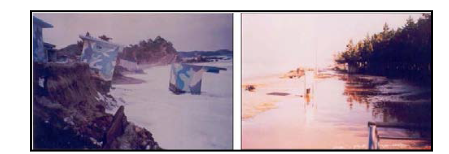 호산해수욕장의 침식피해(1996년 2월)