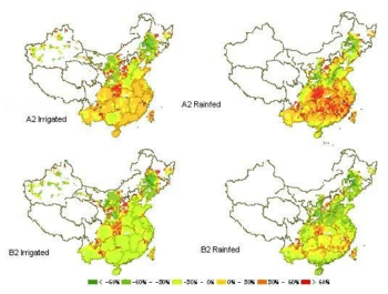 A2, B2 시나리오하에서 중국의 2080년 쌀 수량 변화 자료 : Lin Erda et al., 2004