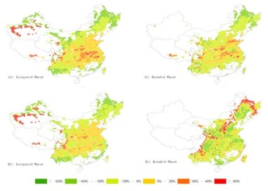 A2, B2시나리오하에서 중국의 2080년 밀 수량 변화 자료 : Lin Erda et al., 2004