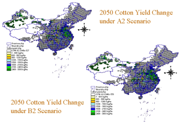 A2, B2 시나리오하에서 중국의 2050년 목화 수량 변화 자료 : Lin Erda et al., 2004