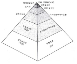 수생태계 먹이 피라미드(Hellawell, 1986)