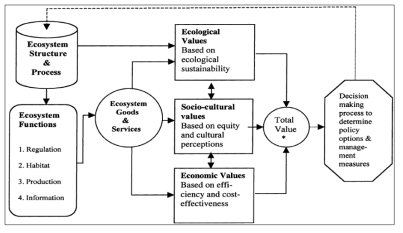 갯벌의 경제적 가치평가 절차 출처 : de Groot et al., 2002