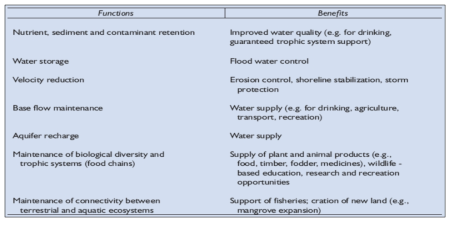 세계은행 환경부 (Environment Department, the World Bank)의 습지 생태계 기능 분류 (EDWB, 2002)