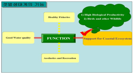 갯벌생태계의 기능
