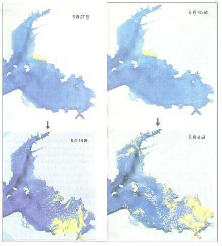 바지락유생 가상입자의 역시간 추적 시뮬레이션에 의한 표류위치의 시간 변화