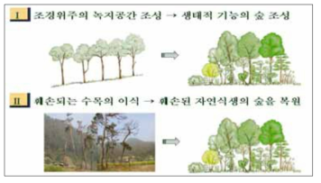 자연림을 모델로 한 바람직한 숲 조성의 방향