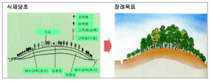 환경보전림의 조성 초기와 예측되는 장래 목표 (자료 : 東京電力株式會社, 2000)