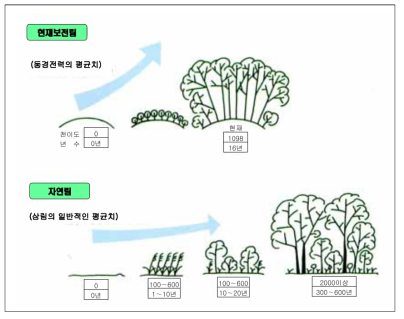 환경보전림과 자연림의 천이도를 비교한 실험 (자료 : 東京電力株式會社, 2000)