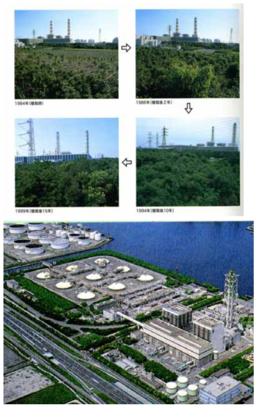 동경LNG발전소 환경보전림의 조성 후 발달과정(위)과 발전소 전체의 환경보전림 조성현황(아래)