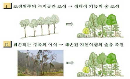 녹지공간의 생태모델숲 조성방안